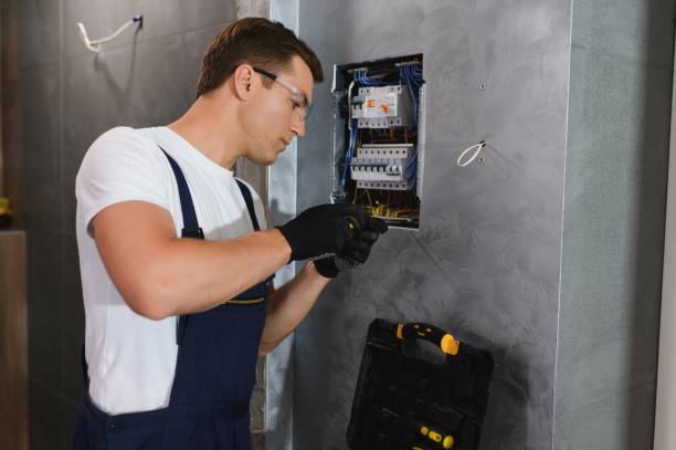 Best Electrician Near Me  in Twin Grove, IL