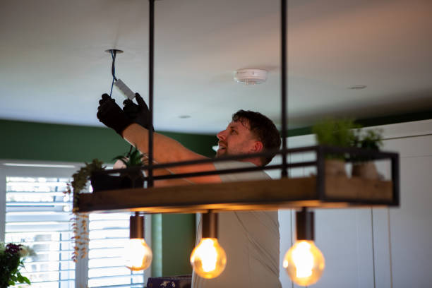 Best Electrical Troubleshooting Services  in Twin Grove, IL