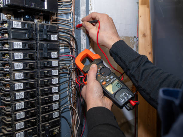 Best Electrical Rewiring Services  in Twin Grove, IL